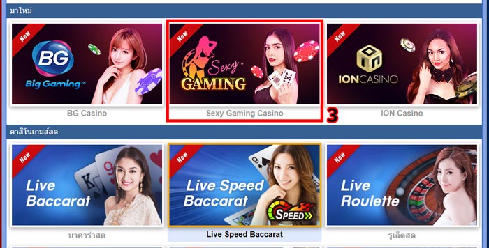 ค่ายเดิมพันบาคาร่าออนไลน์ BG Casino , Sexy Gaming , ION Casino